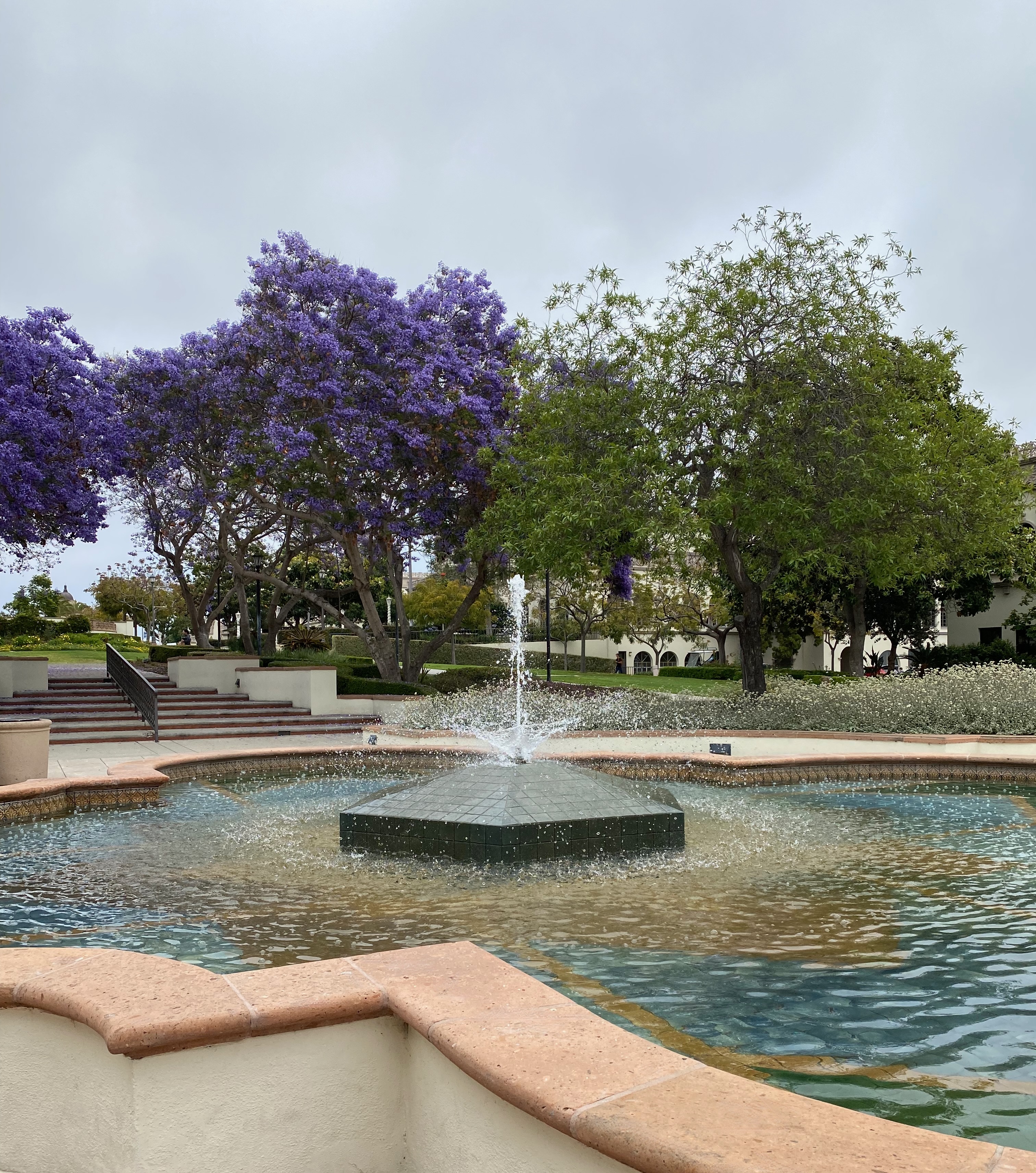 University of San Diego find your path image